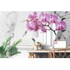 Samolepiaca tapeta jedinečná orchidea