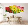 5-dielny obraz tulipánový sad