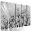 5-dielny obraz presný detail púpavy v čiernobielom prevedení