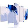 5-dielny obraz umelecká abstrakcia nádherná Antarktída