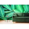 Samolepiaca fototapeta eukalyptové listy