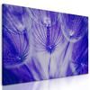 Obraz abstraktná púpava v fialovom prevedení