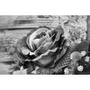 Obraz nádherná vintage ruža v čiernobielom prevedení