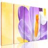 5-dielny obraz nežný šafrán