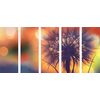 5-dielny obraz púpava pri západe slnka