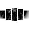 5-dielny obraz abstrakcia tropického lesa v čiernobielom prevedení