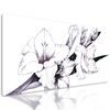 Obraz minimalistické zobrazenie gladioly