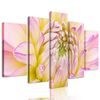 5-dielny obraz perfektný detail na kvet dálie