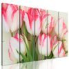5-dielny obraz romantické tulipány
