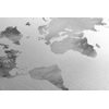 Obraz nádherná akvarelová mapa sveta v čiernobielom prevedení