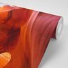 Fototapeta jedinečnosť Antelope Canyonu