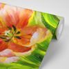Tapeta rozkvitnuté oranžové tulipány