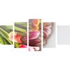 5-dielny obraz nádherne sfarbené tulipány