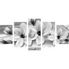 5-dielny obraz čiernobiele luxusné kvety na bronzovom pozadí