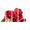5-dielny obraz prekrásne tulipány