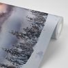 Samolepiaca fototapeta zimné Krkonoše v objatí hmly
