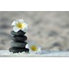 Samolepiaca fototapeta krásne kvety plumérie s kameňmi