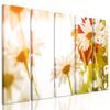 5-dielny obraz kvety na slnečnej lúke