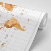 Tapeta stará mapa sveta v béžovom prevedení