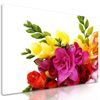 Obraz pestrofarebná kytica pôvabných frézií