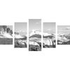 5-dielny obraz čarovný výhľad v čiernobielom prevedení