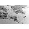 Obraz mapa sveta so symbolickými zvieratami v čiernobielom prevedení
