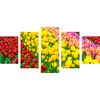 5-dielny obraz tulipánový sad