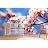 Samolepiaca fototapeta jarné kvietky čerešne