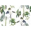 Samolepiaca tapeta nádherné tropické rastliny na bielom pozadí