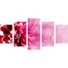 5-dielny obraz detail ružového kvetu