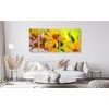 5-dielny obraz kvety v letných farbách