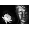 Samolepiaca fototapeta čiernobiela tvár obdivuhodného Budhu