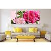 5-dielny obraz pôvabné ružové pivónie