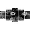 5-dielny obraz nádherné kvety s tajomným pozadím v čiernobielom prevedení