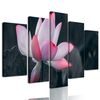 5-dielny obraz nádherny kvet