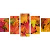5-dielny obraz jesenné javorové listy