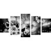 5-dielny obraz čiernobiele kvety vo vintage prevedení