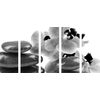 5-dielny obraz relaxačne SPA zátišie v čiernobielom prevedení