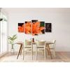 5-dielny obraz oranžová dália