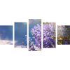 5-dielny obraz nádherné modro-fialové kvety levandule