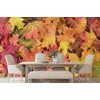 Zaujímavá samolepiaca fototapeta jesenné listy