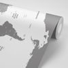 Tapeta podrobná mapa sveta v sivej farbe
