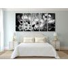 5-dielny obraz čiernobiele kvety vo vintage prevedení