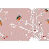 Samolepiaca tapeta vtáčiky v šípkových kríkoch na ružovom pozadí
