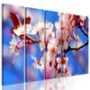 5-dielny obraz jarné kvietky čerešne