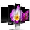 5-dielny obraz krásny kvet orchidei