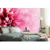 Okúzľujúca samolepiaca tapeta kvet v odtieňoch ružovej