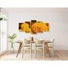 5-dielny obraz oranžový nechtík