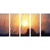 5-dielny obraz západ slnka nad lesom