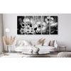 5-dielny obraz čiernobiele kvety vo vintage prevedení